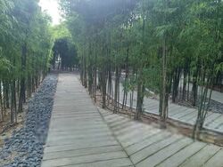 D'Leedon (D10), Condominium #553559791